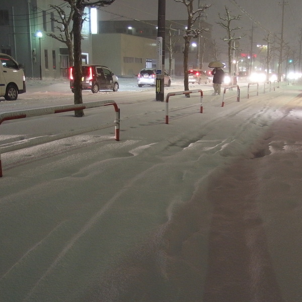 福井市本日の積雪